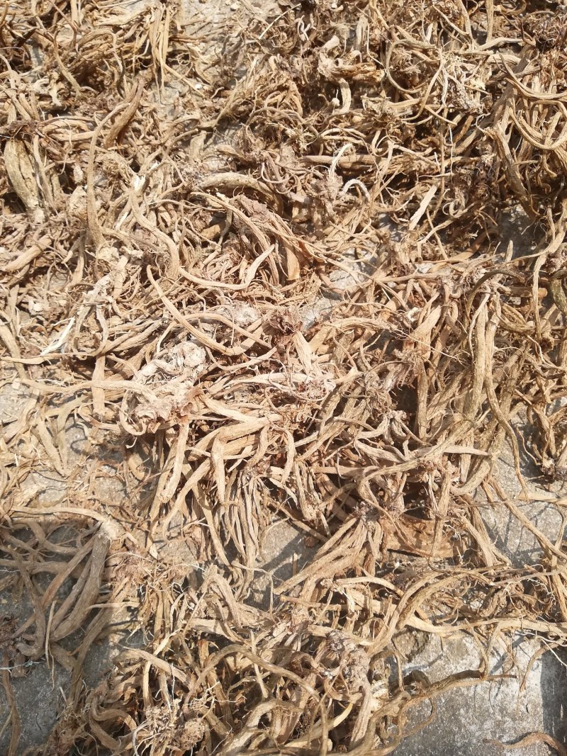 马刺根贵州本地货纯野生