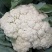 蔬菜大量上市