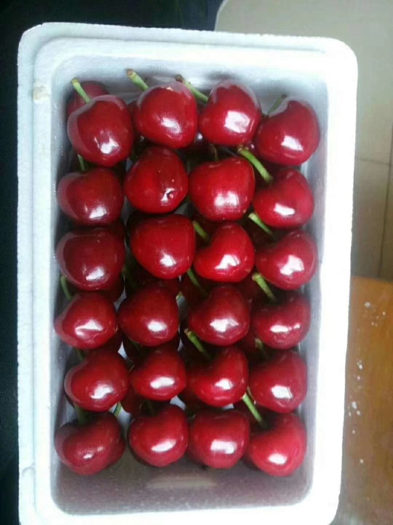 大樱桃