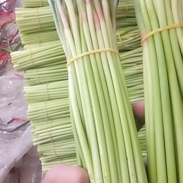 红帽蒜薹（长期供货）手扎蒜薹。各种分装。打包加工。