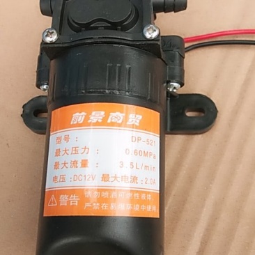 电动喷雾器水泵12v电机高效双泵隔膜泵小型打药泵自吸