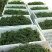 新料熟胶花椒筐水果筐蔬菜筐塑料筐厂家批发