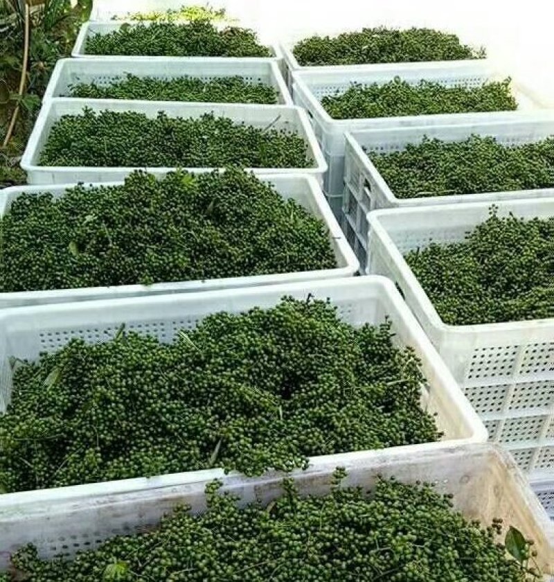 新料熟胶花椒筐水果筐蔬菜筐塑料筐厂家批发