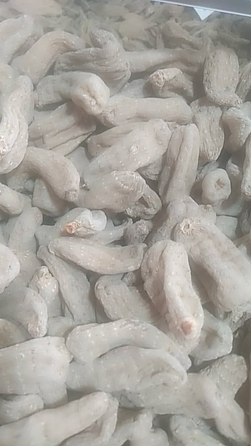 天麻