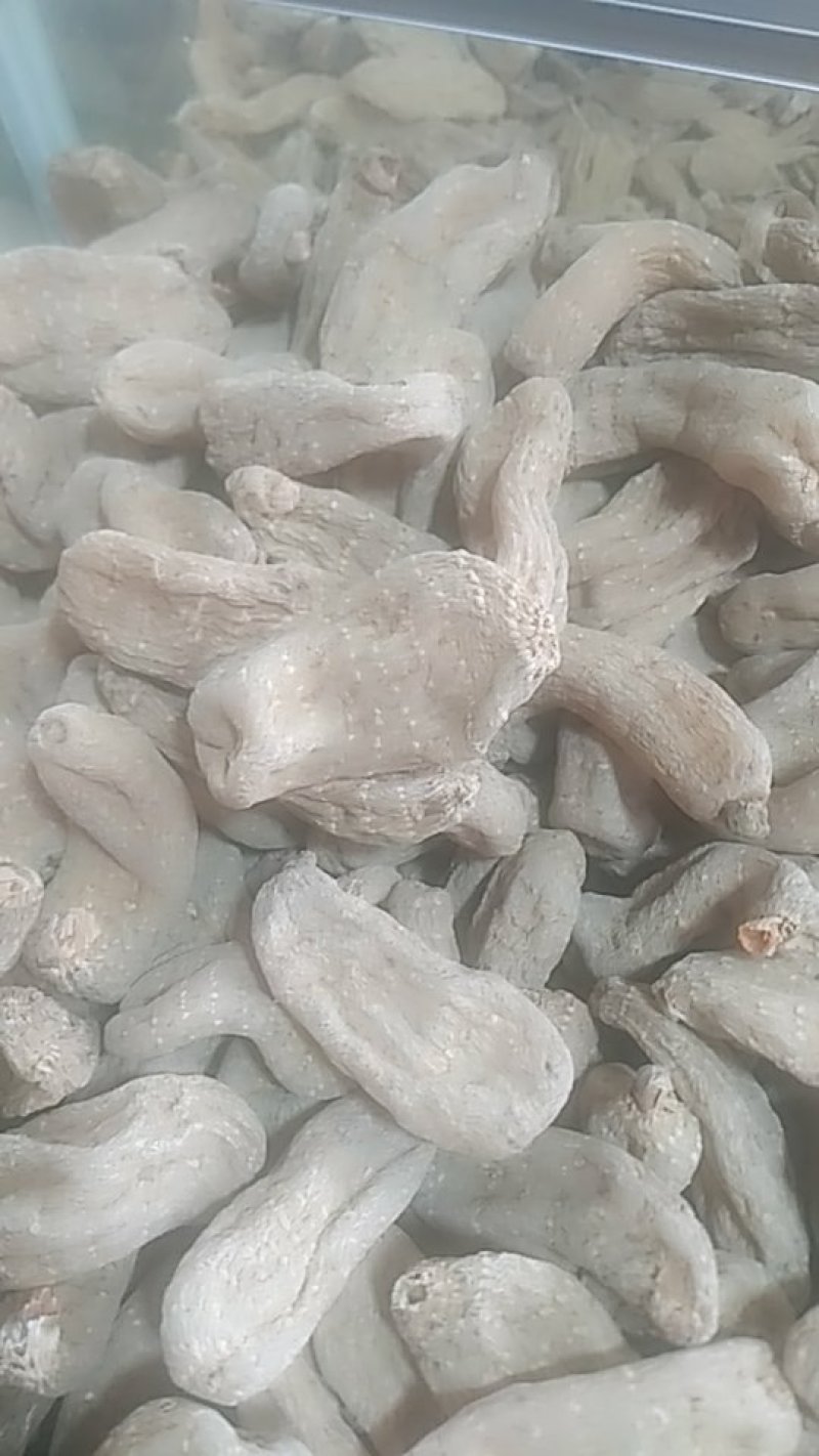 天麻
