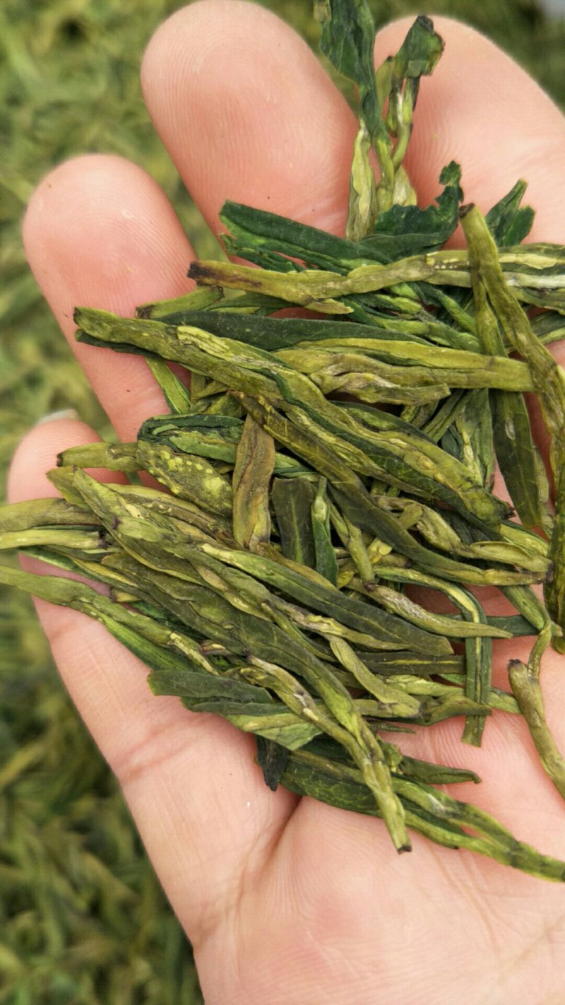 龙井茶