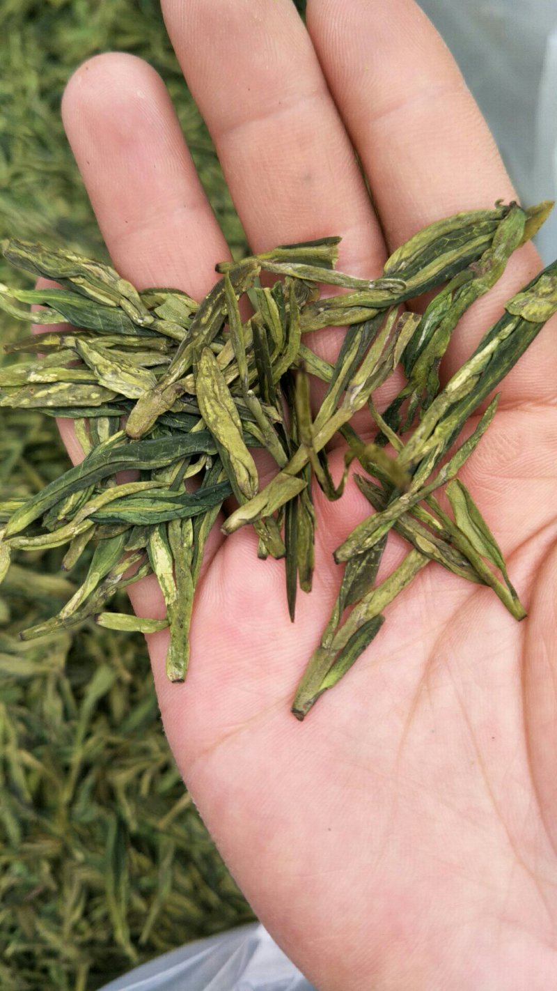 龙井茶