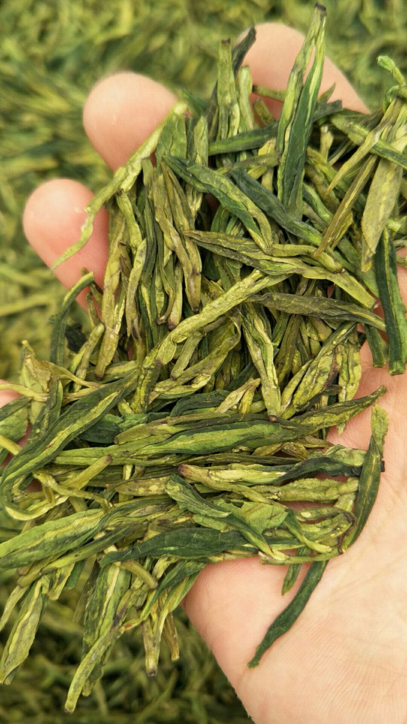 龙井茶