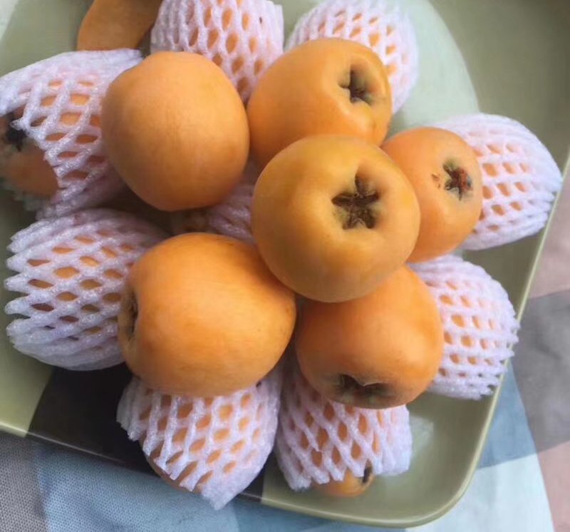屏山大五星套袋枇杷，易剥皮，果大肉厚，籽小