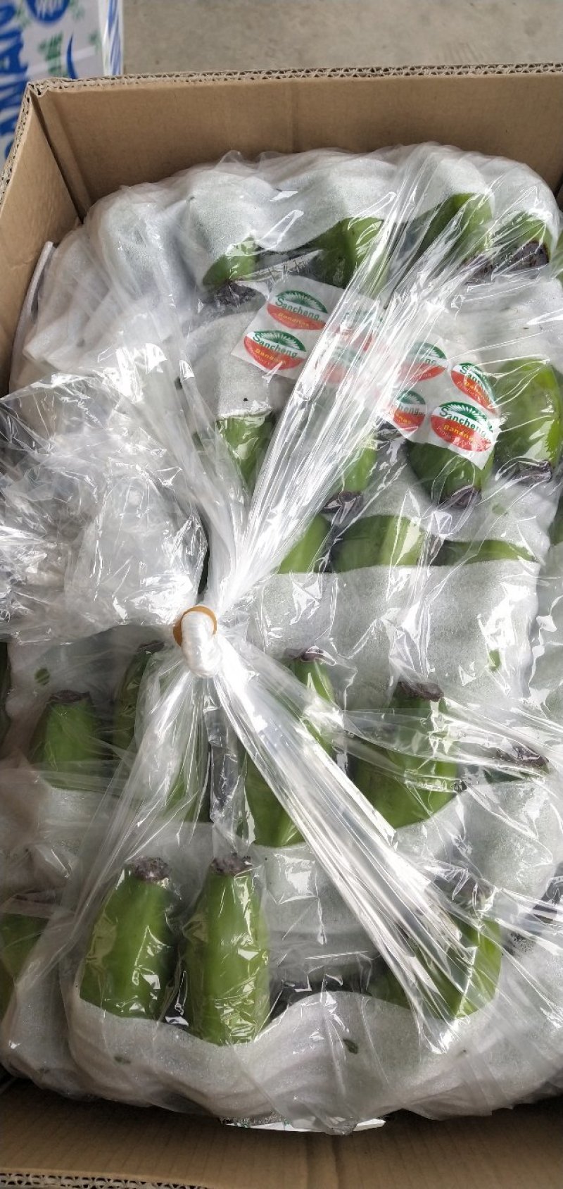 桑梓老六香蕉批发