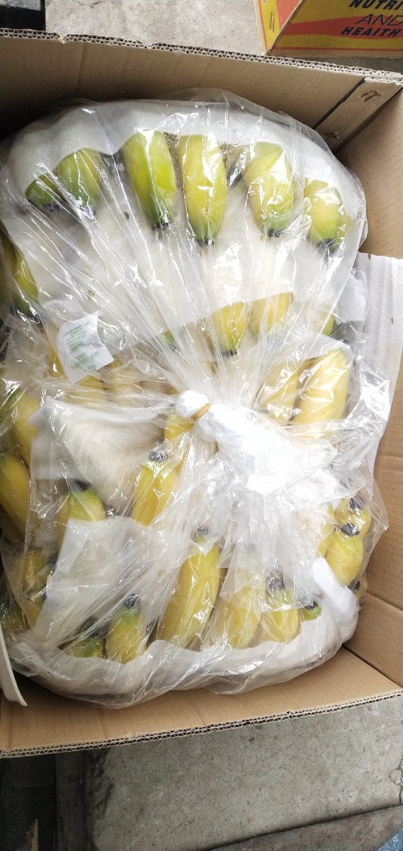 桑梓老六香蕉批发