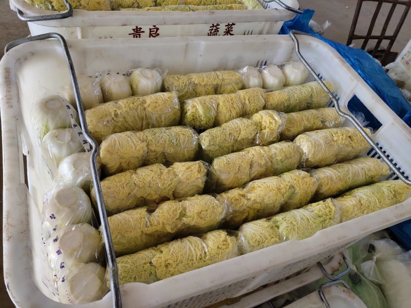 娃娃菜4~5两以上产地直发欢迎新老客户咨询