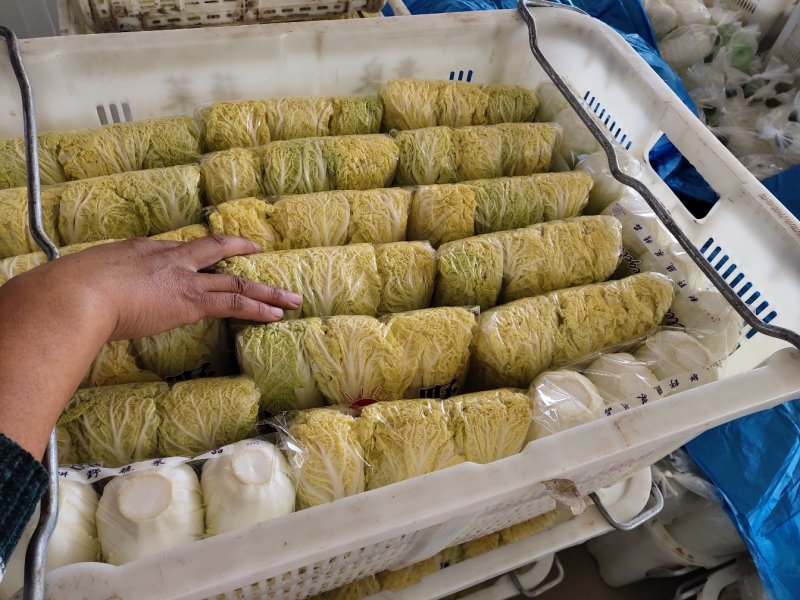 娃娃菜4~5两以上产地直发欢迎新老客户咨询