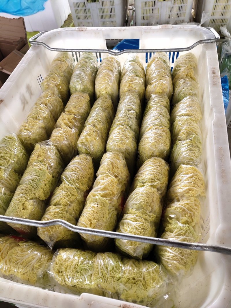 娃娃菜4~5两以上产地直发欢迎新老客户咨询