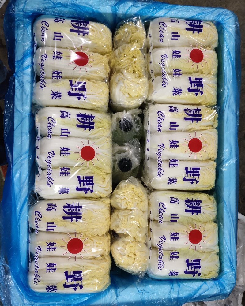 娃娃菜4~5两以上产地直发欢迎新老客户咨询