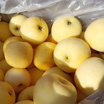 黄金富士奶油味