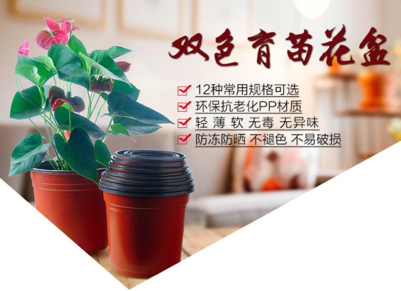 双色盆简易花盆花卉花盆简易双色盆园艺花盆小花盆