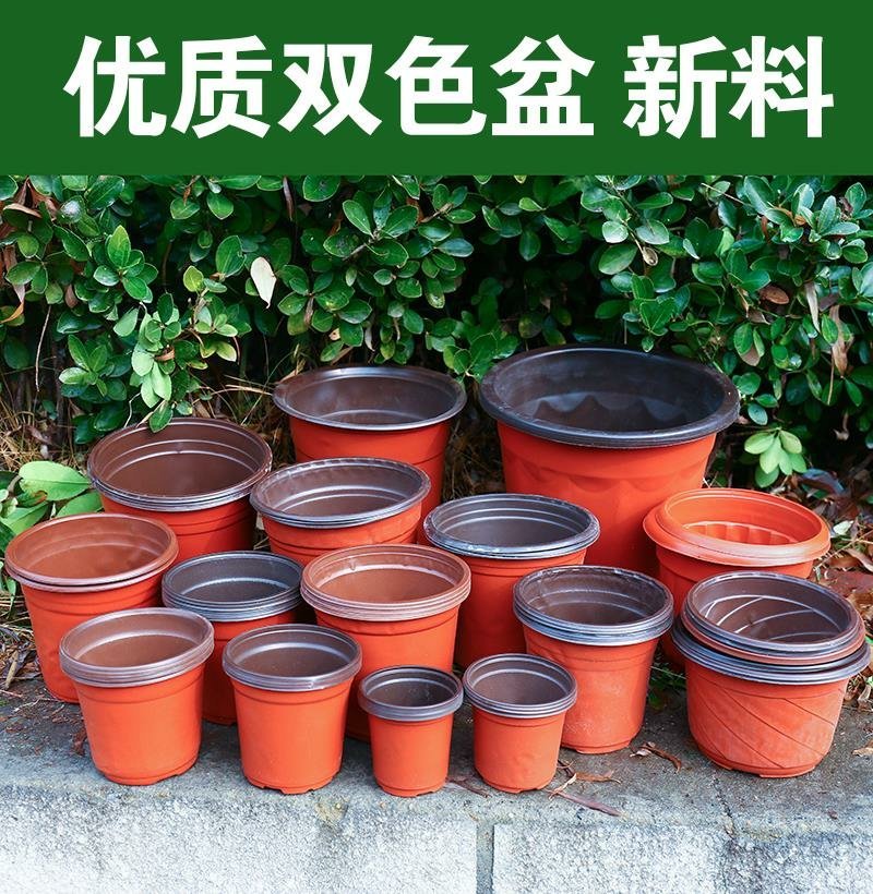 双色盆简易花盆花卉花盆简易双色盆园艺花盆小花盆