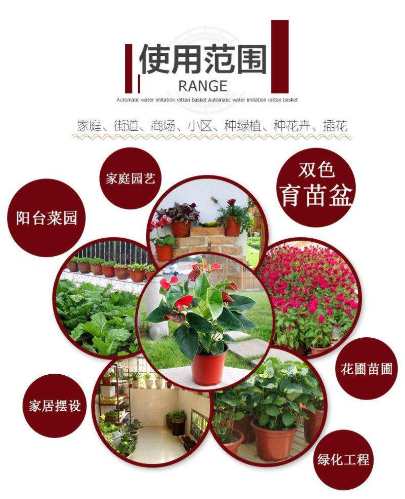 双色盆简易花盆花卉花盆简易双色盆园艺花盆小花盆