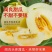 阎良甜瓜，五斤20.5元包邮，招代理