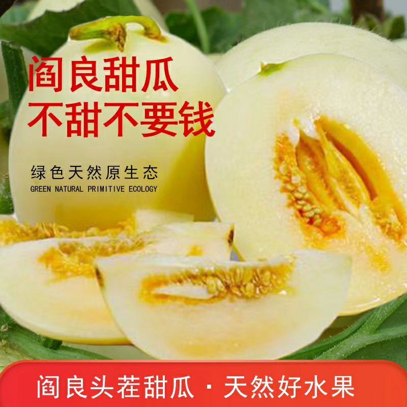 阎良甜瓜，五斤20.5元包邮，招代理