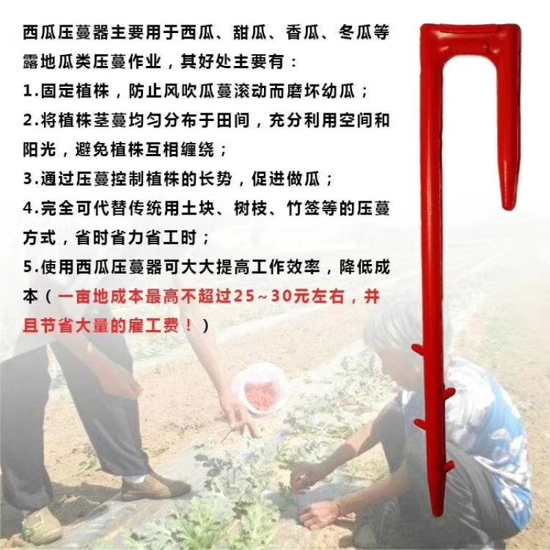 草莓🍓压蔓器，西瓜🍉压蔓器