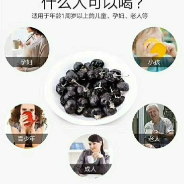 黑枸杞