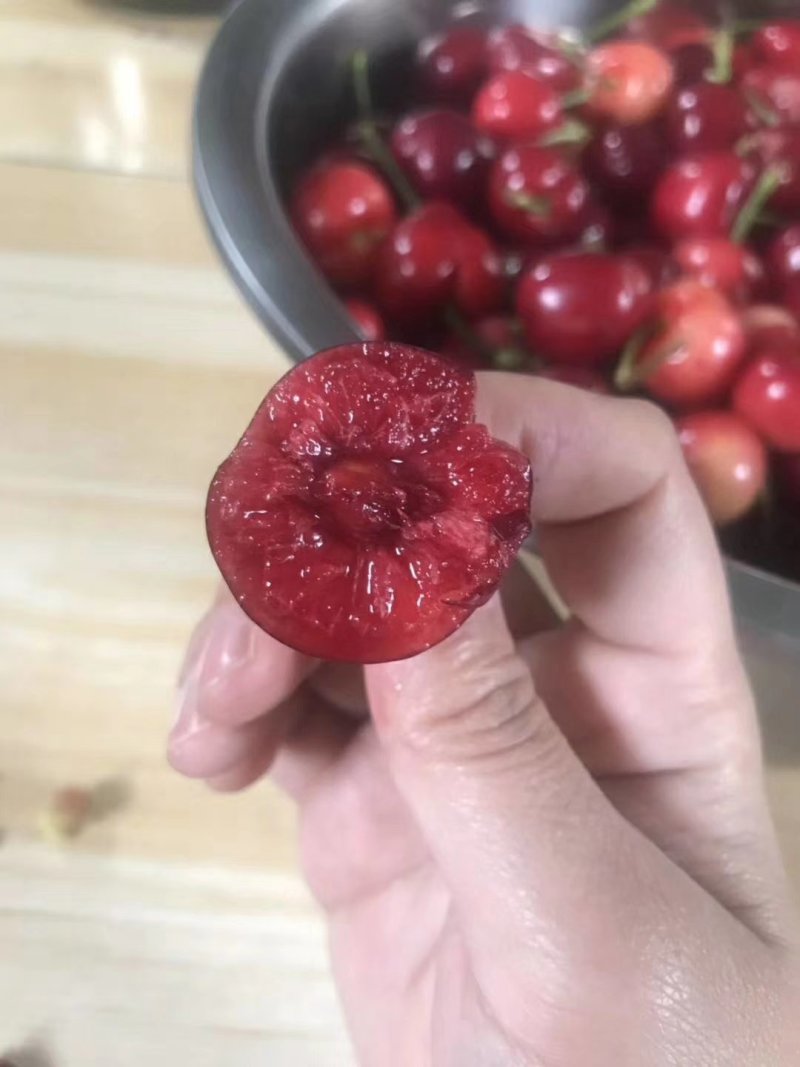 大樱桃