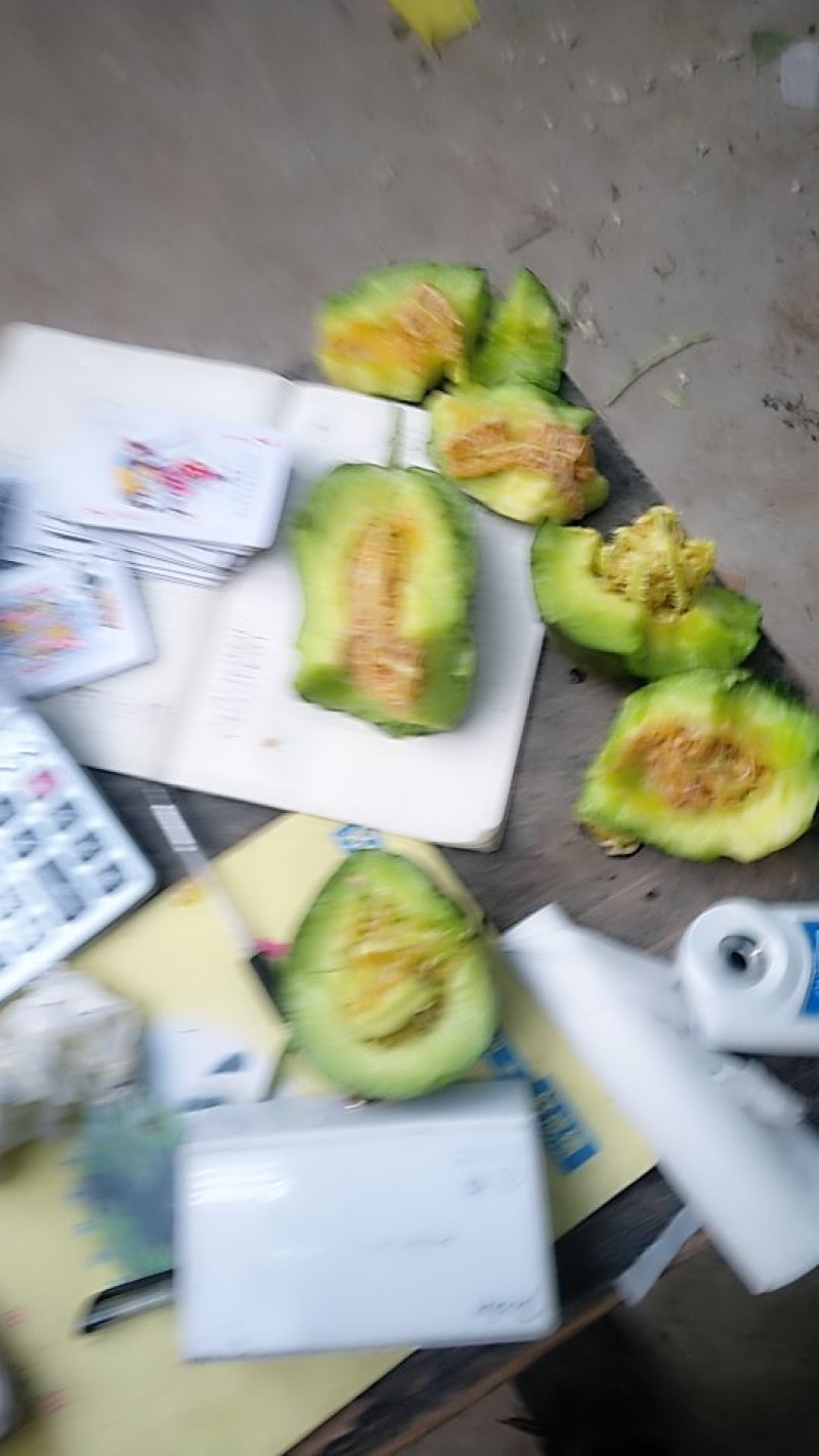 金乡县胡集镇白梨瓜有需要的联系我