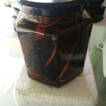 鸡枞油
