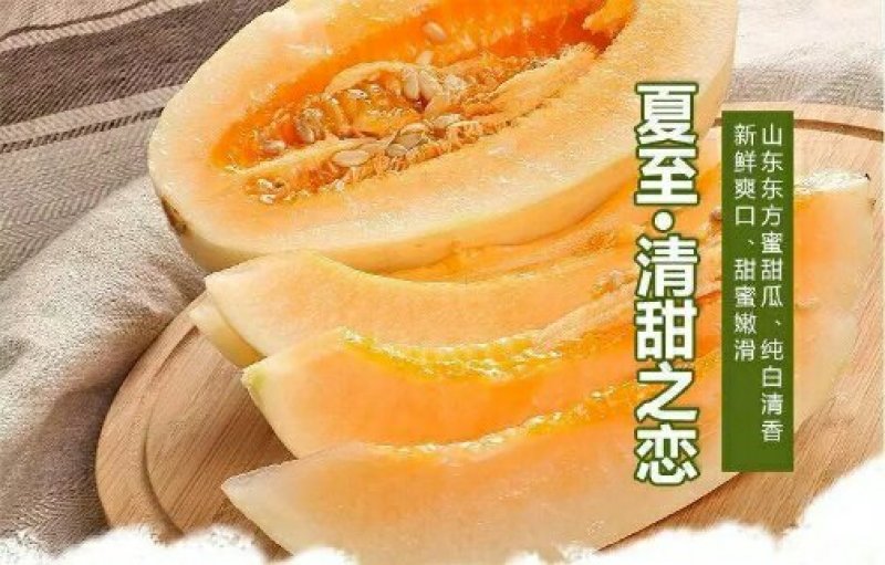 东方蜜1号甜瓜2斤以上