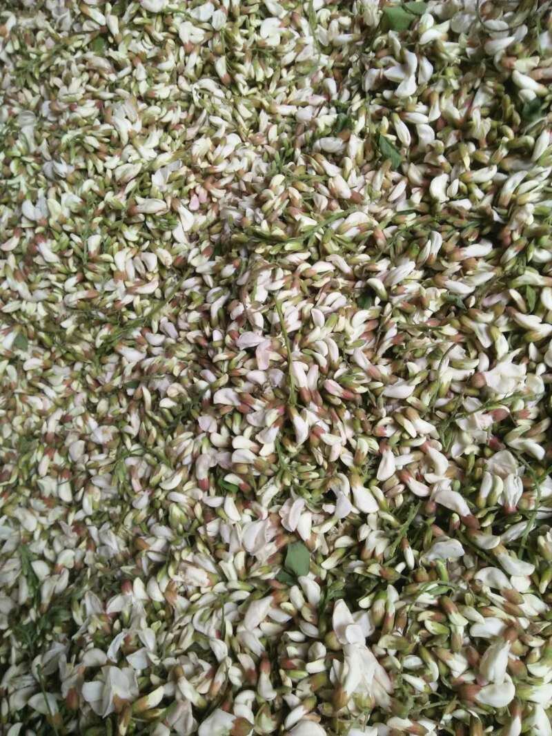 新鲜的槐花，预购从速