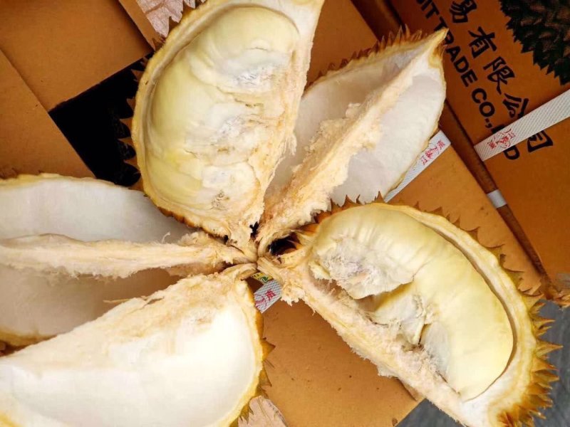 泰国巴掌榴莲