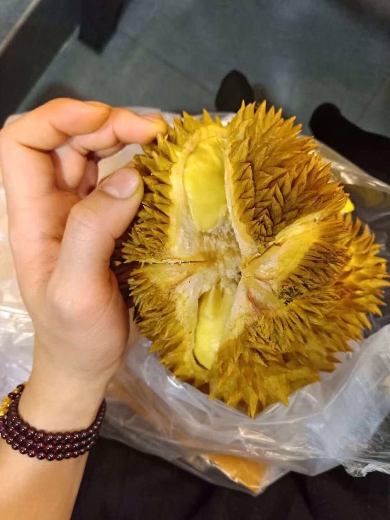 泰国巴掌榴莲