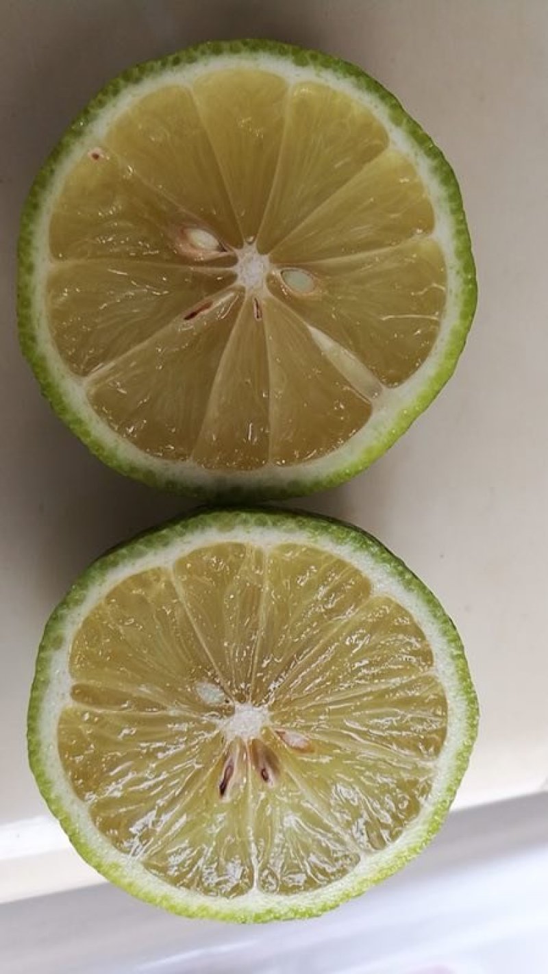 自家农场种植青柠檬