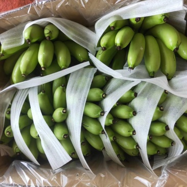 皇帝蕉，香蕉，产地直供，质量好，价格优势，货源充足，欢迎