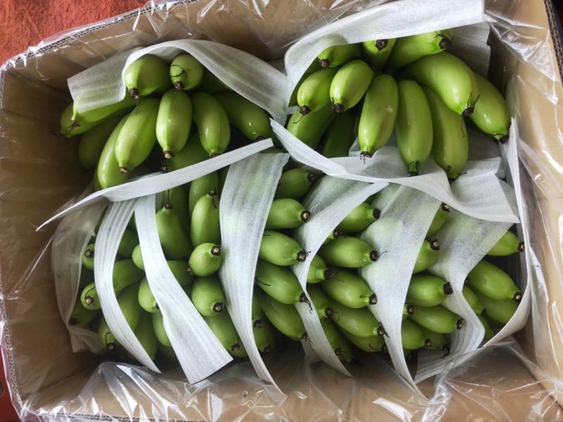 皇帝蕉，香蕉，产地直供，质量好，价格优势，货源充足，欢迎