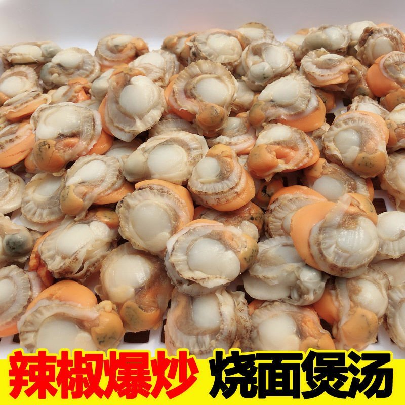 新鲜海鲜鲜扇贝肉鲜活现剥冷冻新鲜瑶贝柱海鲜水产鲜活包邮