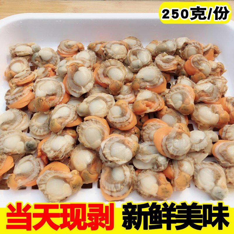 新鲜海鲜鲜扇贝肉鲜活现剥冷冻新鲜瑶贝柱海鲜水产鲜活包邮