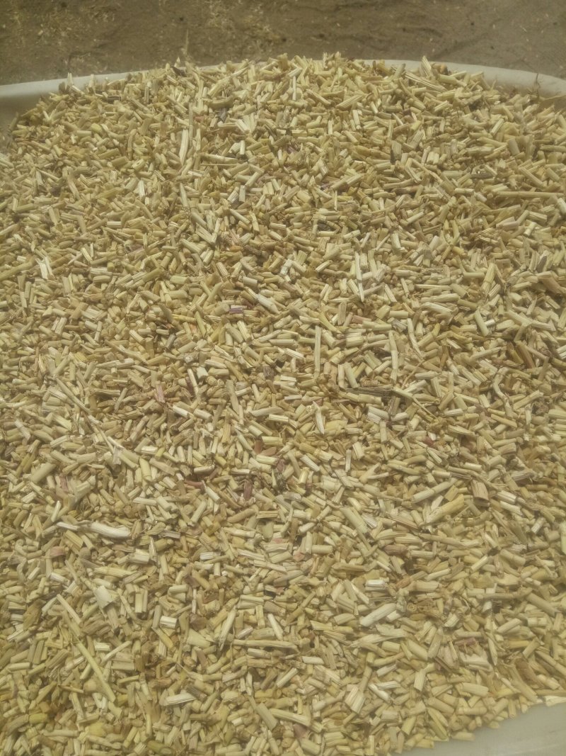【诚信经营】中草药白茅根加工，规格齐全量大从优欢迎联系