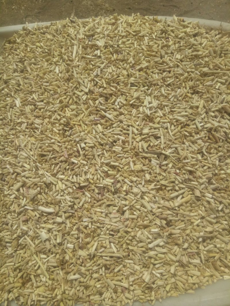 【诚信经营】中草药白茅根加工，规格齐全量大从优欢迎联系