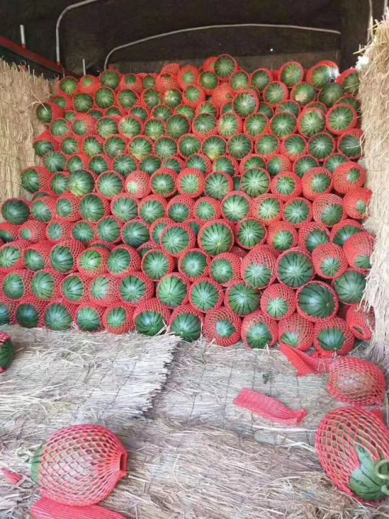 2k西瓜，产地直销，质量保证，货真价实，