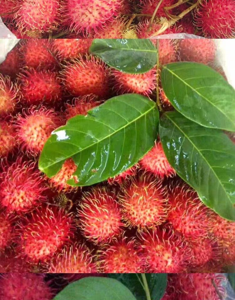 越南进口红毛丹毛荔枝新鲜红毛丹鲜甜多汁