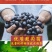 葡萄苗爬藤树苗果树苗5年大苗