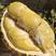 泰国金枕一级榴莲一件代发新鲜带壳水果泰国现摘直发包邮