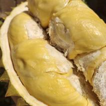 泰国金枕一级榴莲一件新鲜带壳水果泰国现摘直发