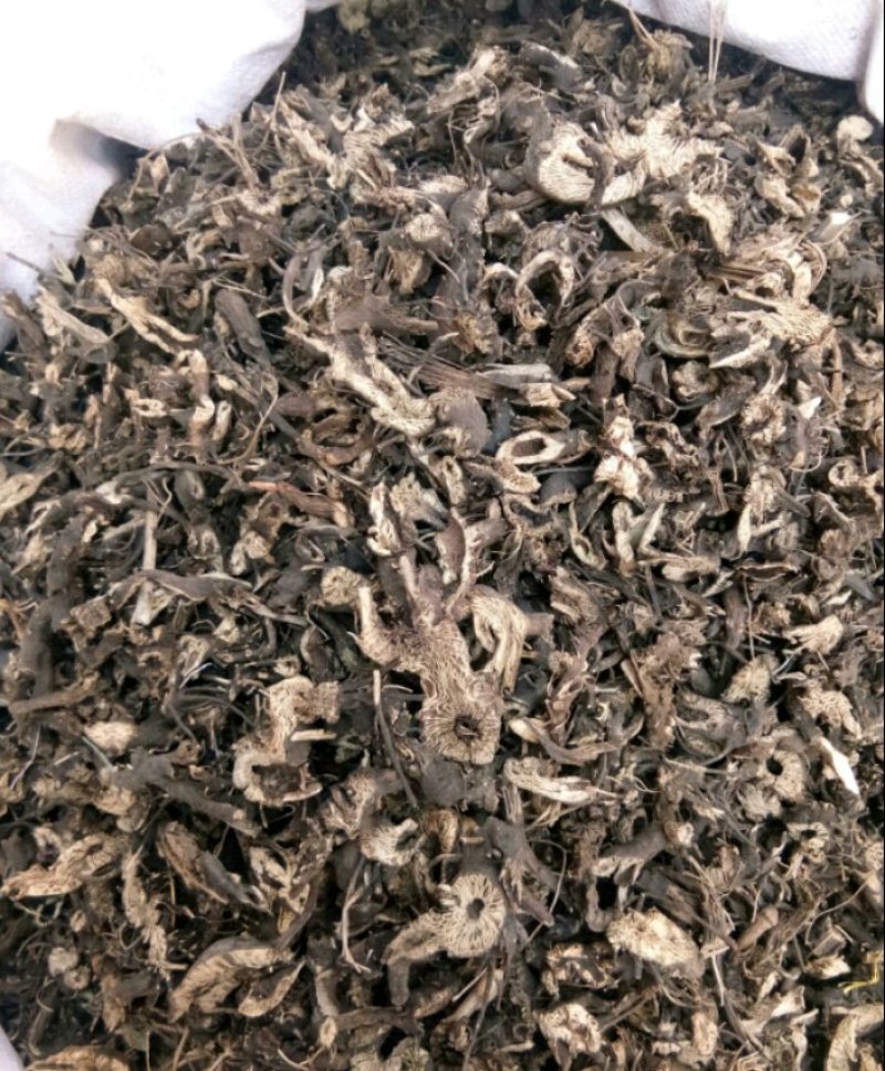 北升麻升麻片无硫熏规格齐全量大从优