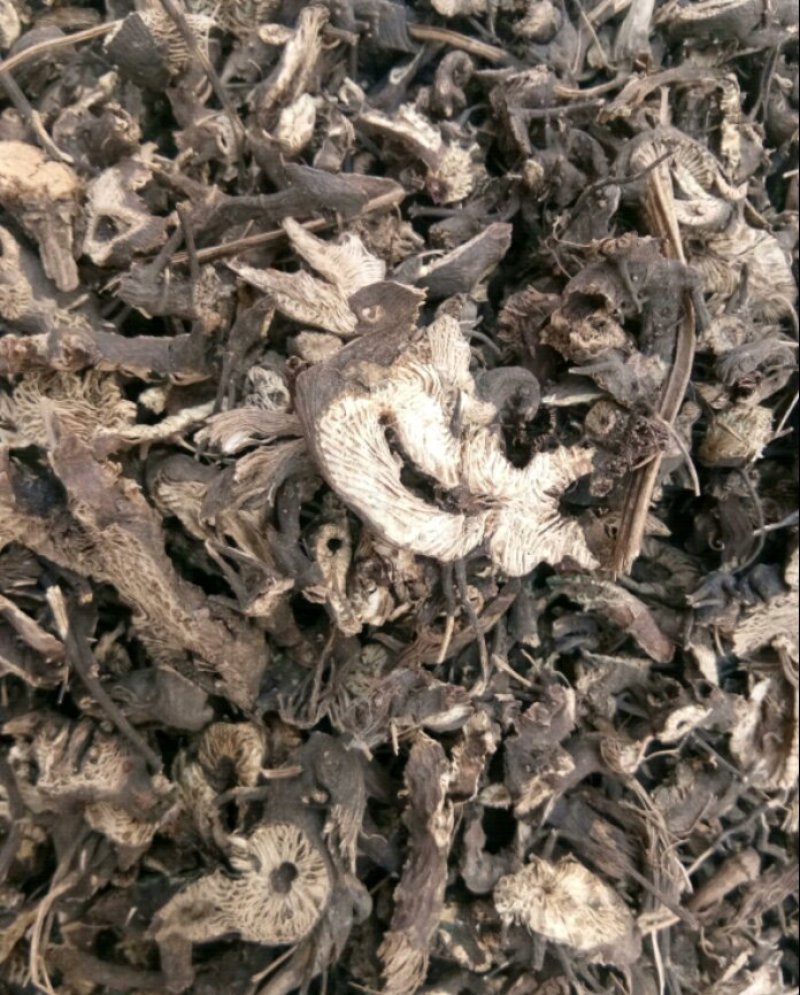 北升麻升麻片无硫熏规格齐全量大从优