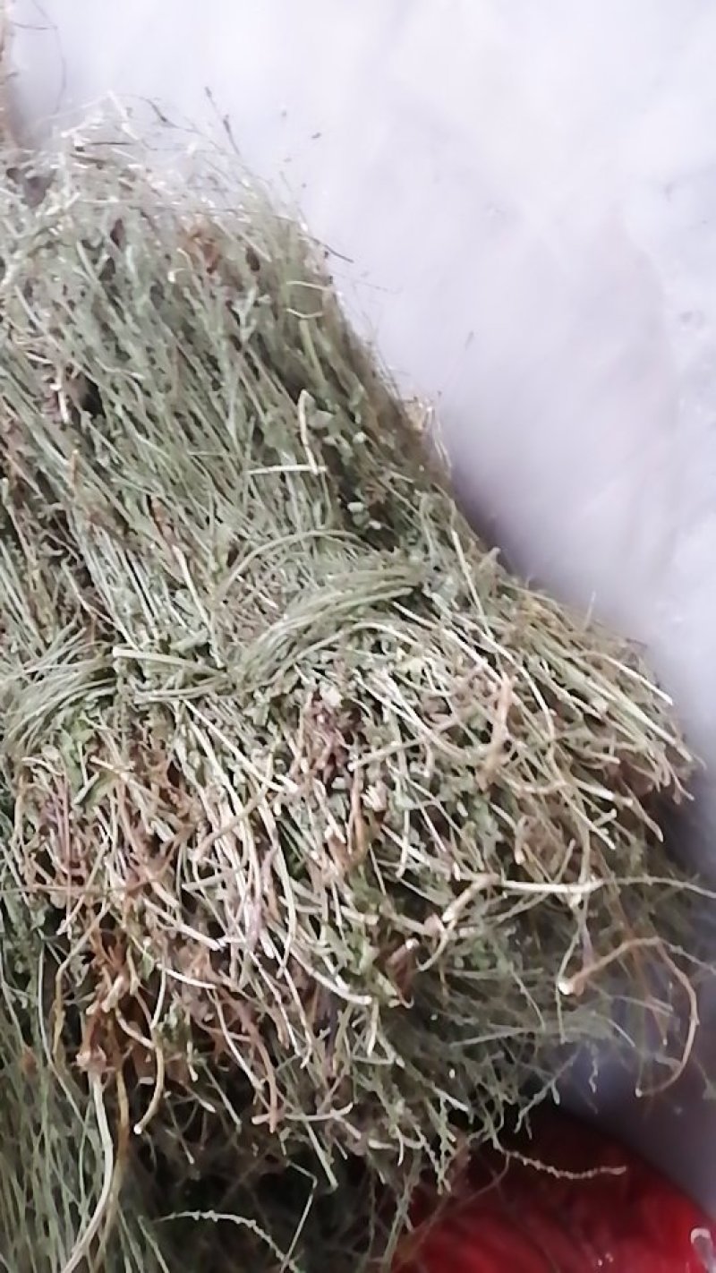 中药材