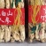 中药材